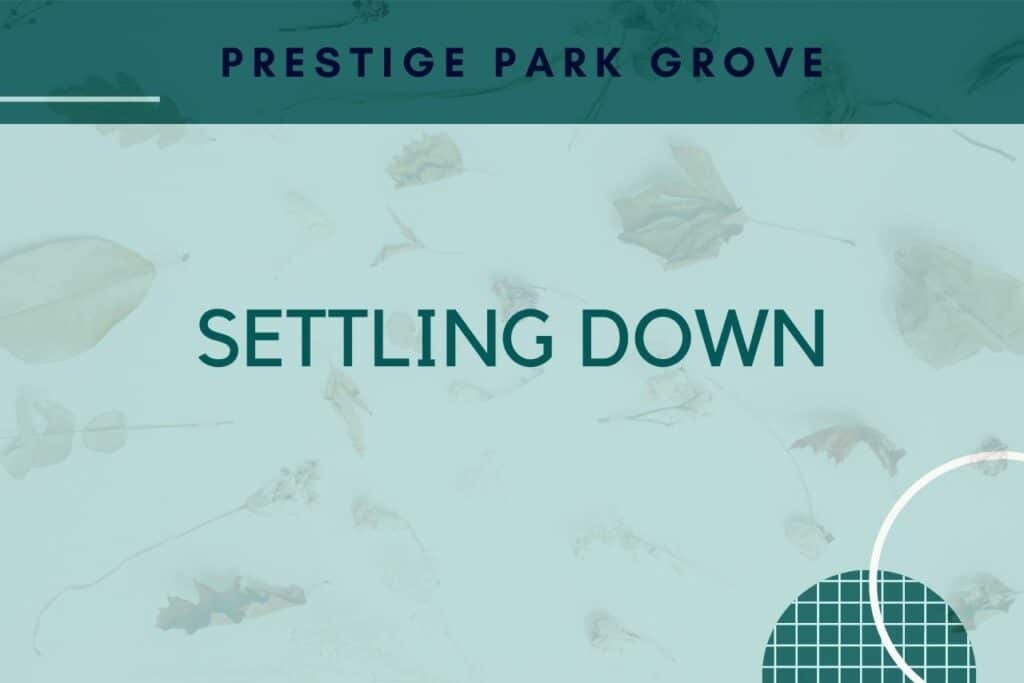 Prestige Park Grove Settling down
