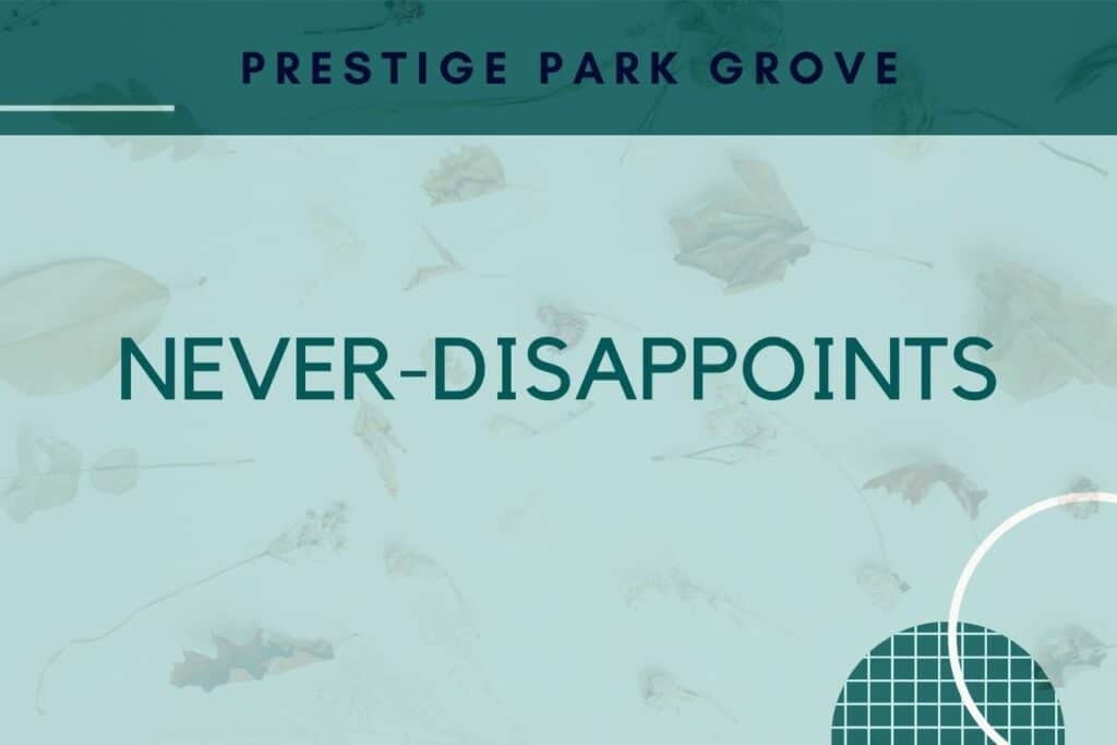 Prestige Park Grove never-disappoints