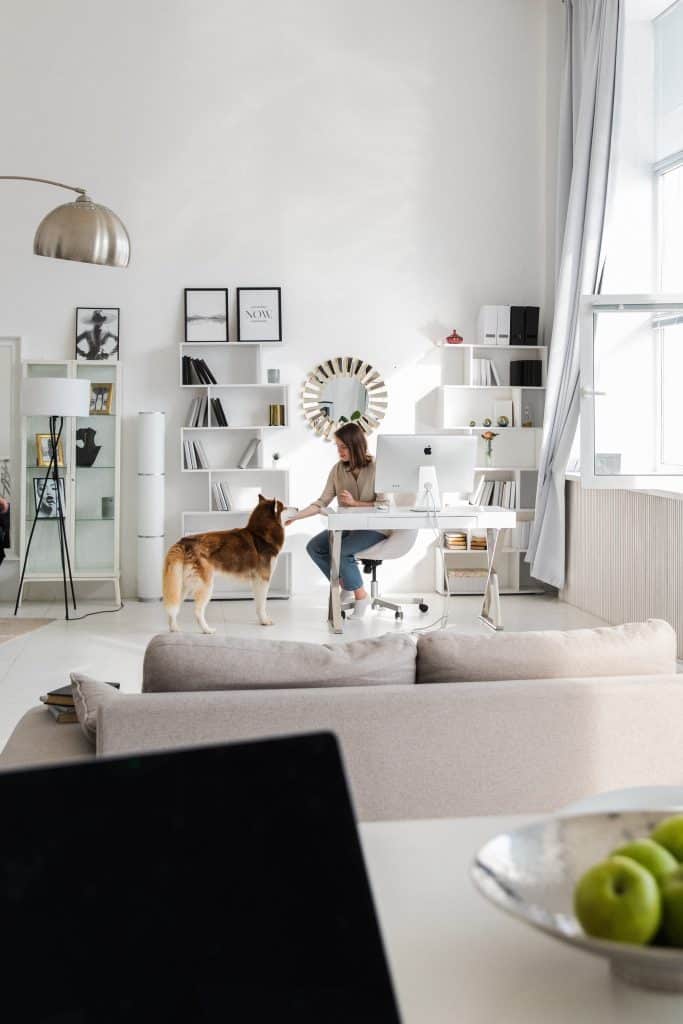 Pet–Friendly Apartments: What You Need to Know