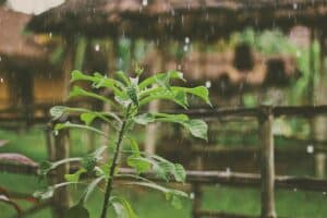How to Prepare for Monsoon Season in Bangalore