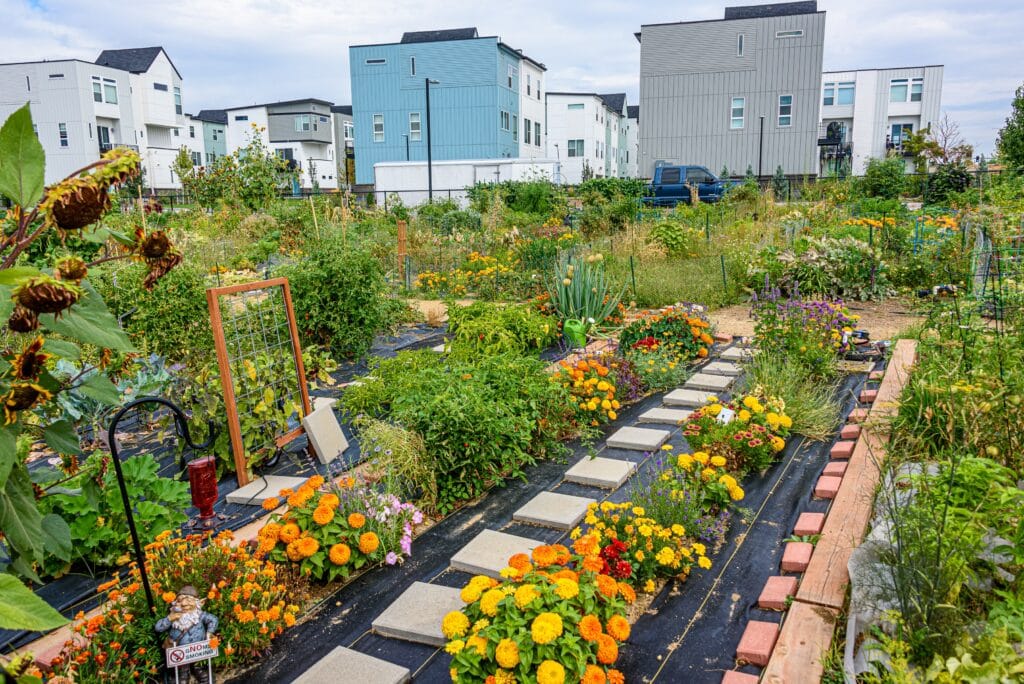 How to Start a Community Garden in Prestige Park Grove